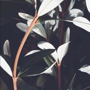 Meet your Posher, Ruth